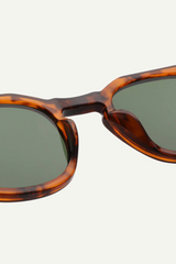 Sonnenbrille ZAN Havana