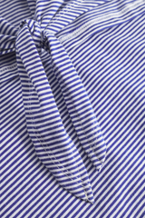 Top Stripe It Up Blue