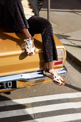 Hose Florian Leopard