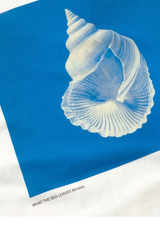 Weisses T-Shirt Sea Treasure von Thinking MU mit Muschelprint auf blauem Quadrat, Bio-Baumwolle, erhältlich bei Youmee.market Bern
