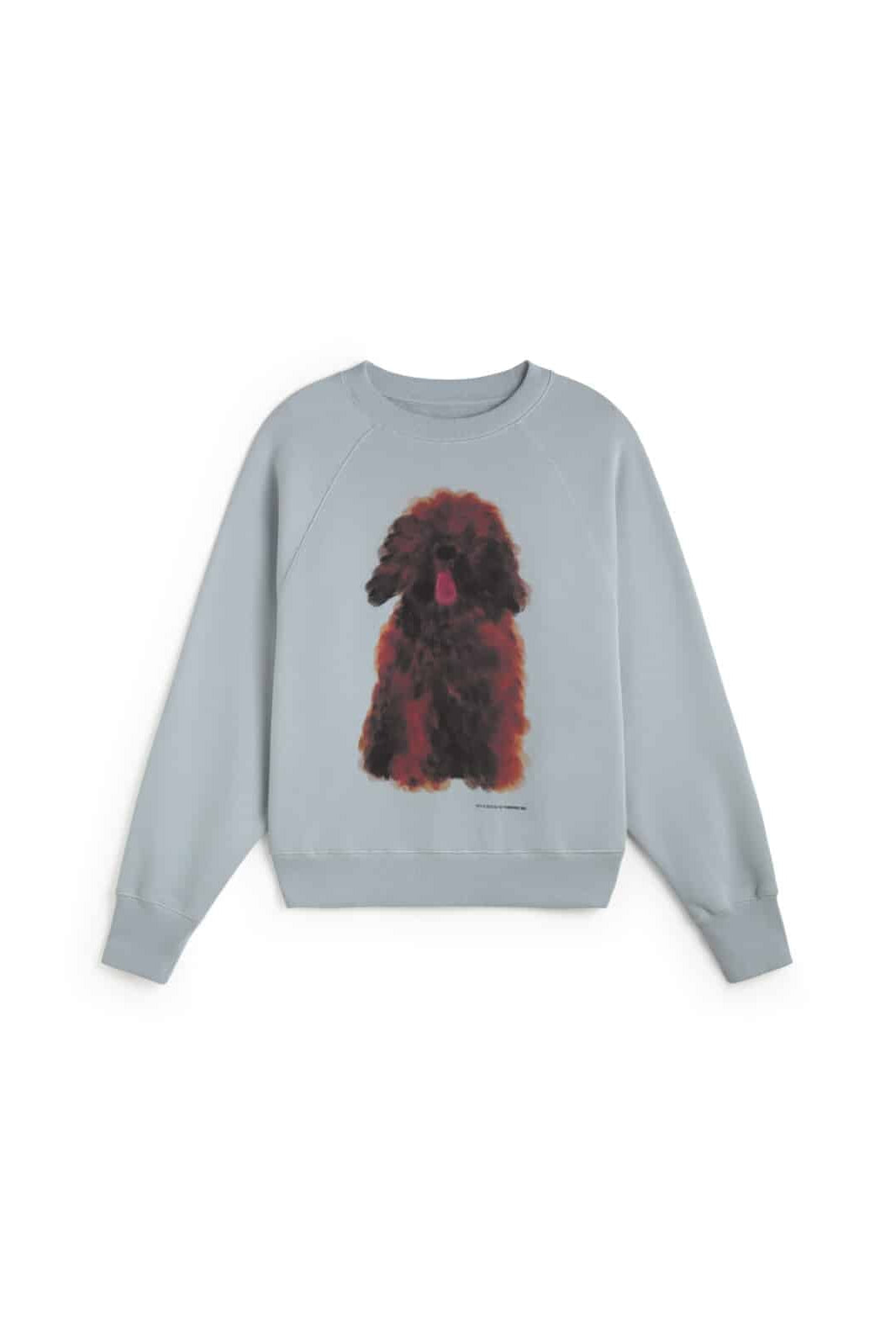 Thinking MU Bonnie Pet Portrait Damen Pullover in Hellblau mit Hunde-Motiv – Youmee.market Schweiz