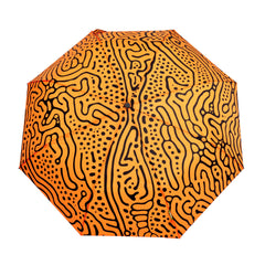 Regenschirm Ferrofluid
