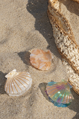 Haarklammer Muschel Strawberry Milkshake