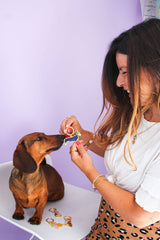 Schlüsselanhänger Dackel