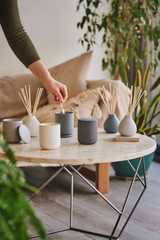 Duftkerze Nordic Cedar Tongefäss